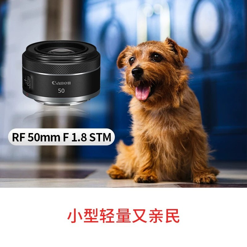 【自营】佳能RF50mm F1.8 STM全画幅微单定焦镜头rp小痰盂50 1.8 - 图1