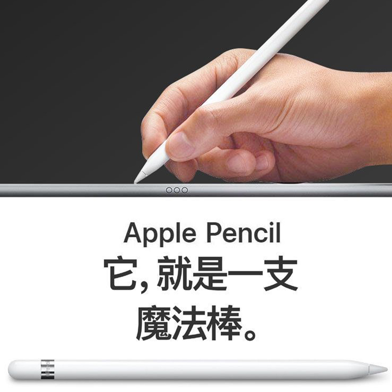 【自营】海外版 苹果/Apple Pencil原装手写笔平板压感笔2代apple pencil ipad air官方正品压感笔 - 图3