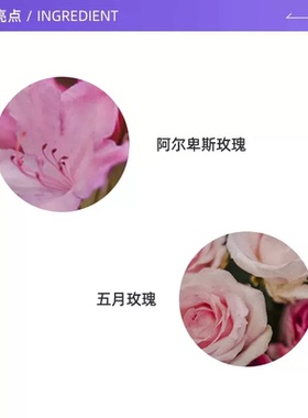 Sisley/希思黎黑玫瑰焕采精华面霜10ml便携护肤保湿抗皱