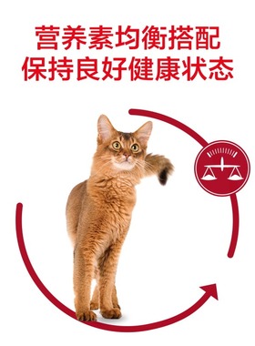 皇家猫粮品牌F32成猫专