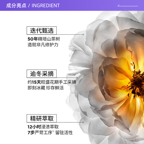【自营】卡诗山茶花护发精油滋养保湿柔顺亮泽防毛躁七夕礼盒 - 图1