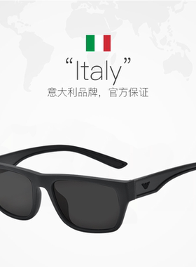 Armani/阿玛尼时尚潮流太阳眼镜