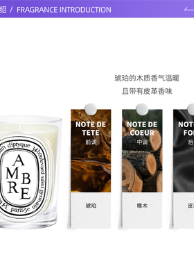 蒂普提克木质香室内琥珀香薰蜡烛