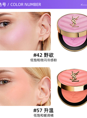 YSL/圣罗兰先锋高定皮革腮红