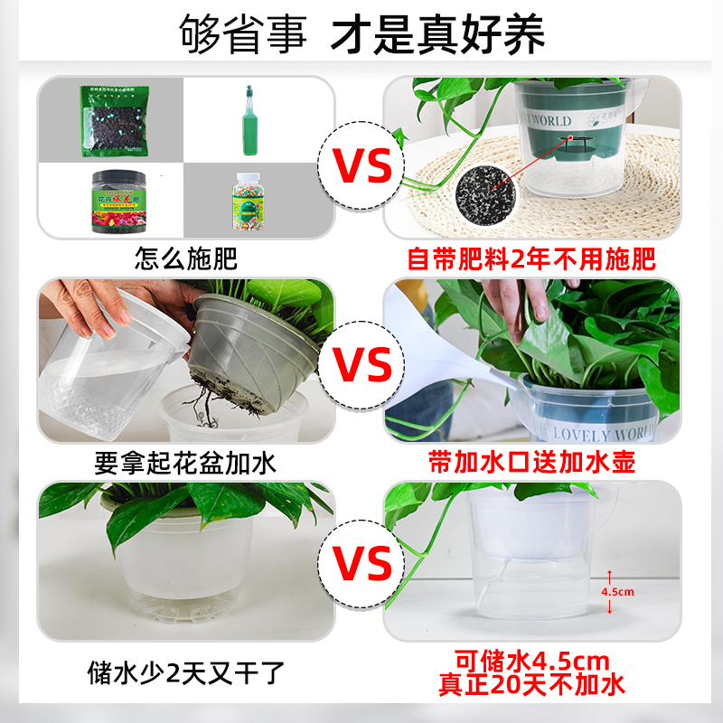 绿萝盆栽室内植物吸甲醛绿箩长藤大叶新房家用除甲醛绿植水培绿罗-图1