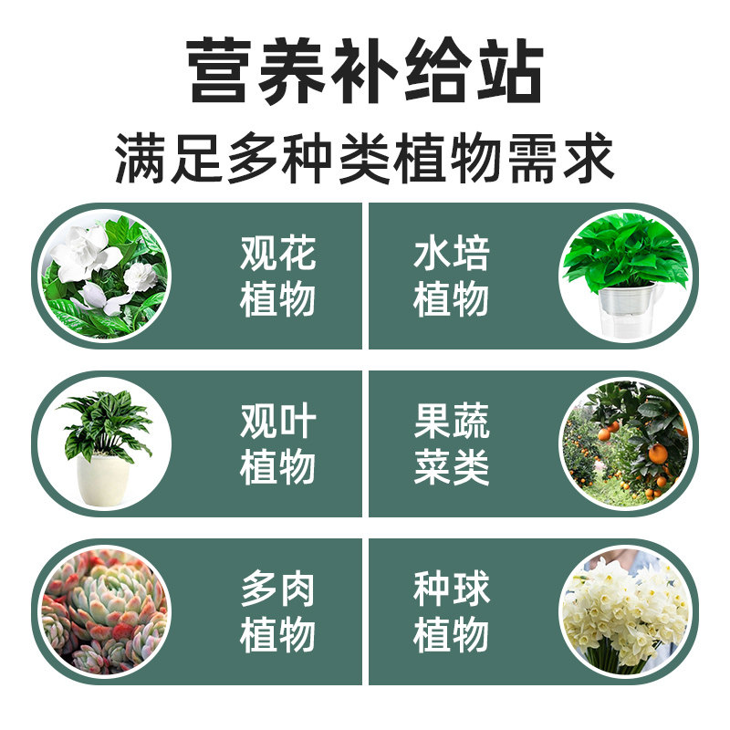 免稀释全植物营养液花卉室内盆栽绿叶生长通用肥料绿萝发财树花肥,淘宝优惠券,粉丝福利购,淘宝优惠卷