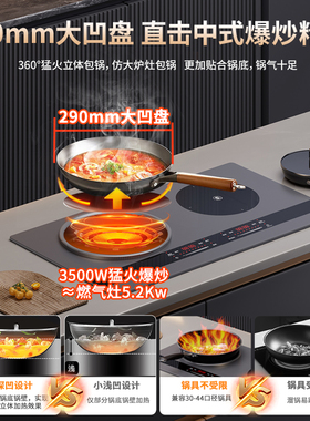 sukio电磁炉双灶嵌入式