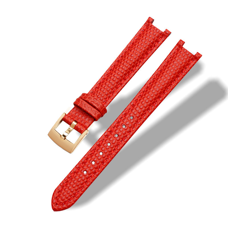 适配卡西欧凹口蜥蜴纹女士14mm表带 瑞途手表配件