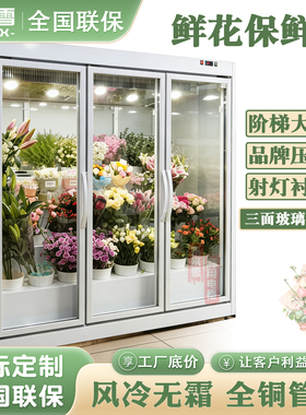 未来雪风冷阶梯展示鲜花柜