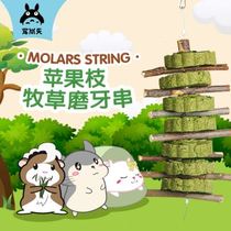 Spoiled Sky Rabbit Dutch pig dragon cat grinding tooth stick apple grass pie Rabbit Grinding Tooth Hamster Zero Food Supplies