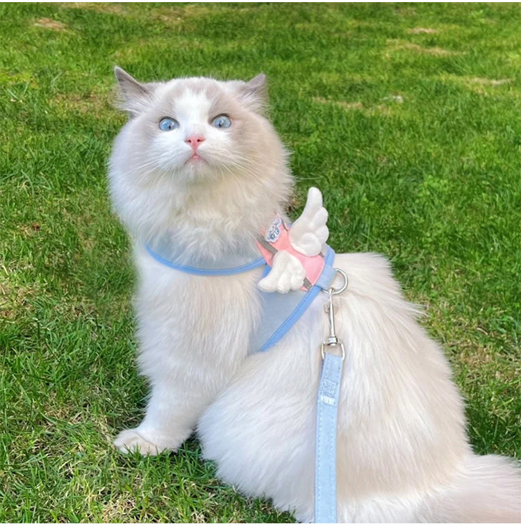 猫猫防挣脱外出牵引绳背心式猫咪专用遛猫绳胸背带溜猫绳猫链子,淘宝优惠券,粉丝福利购,淘宝优惠卷