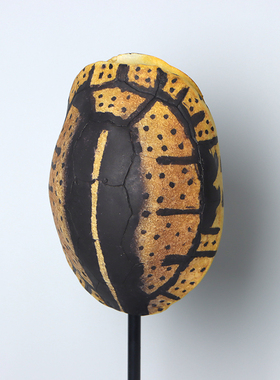 新中式创意仿真乌龟壳摆件客厅书房玄关办公室装饰工艺品道具摆设