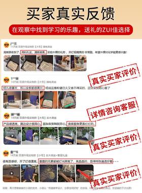 化学元素周期表实物桌面摆件14岁初中生男孩创意生日礼物矿石标本