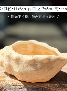 小海螺陶瓷多肉花盆创意清新冰裂釉粗陶植物套装多肉盆栽有孔透气