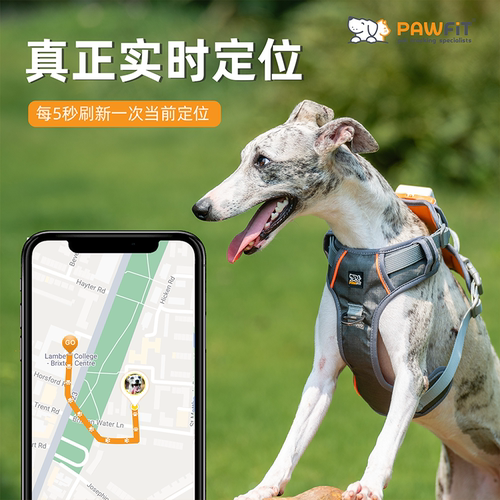 英国PAWFIT宠物定位器狗猫咪防丢语音召回gps追踪防丢运动监测 - 图1