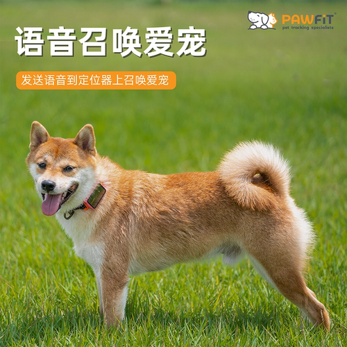 英国PAWFIT宠物定位器狗猫咪防丢语音召回gps追踪防丢运动监测 - 图2