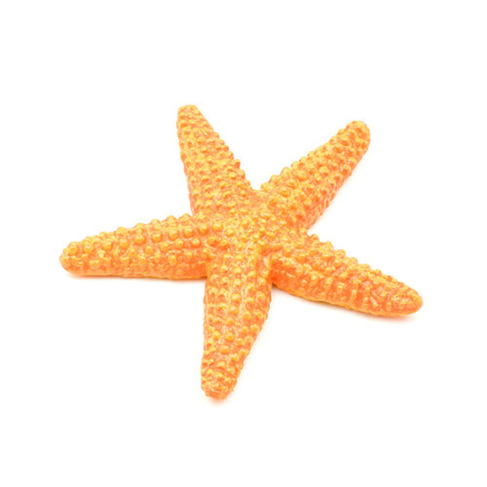 韩国直邮[Safarieltidy] 276829 海星 Starfish 棒球帽 平沿帽子 - 图2