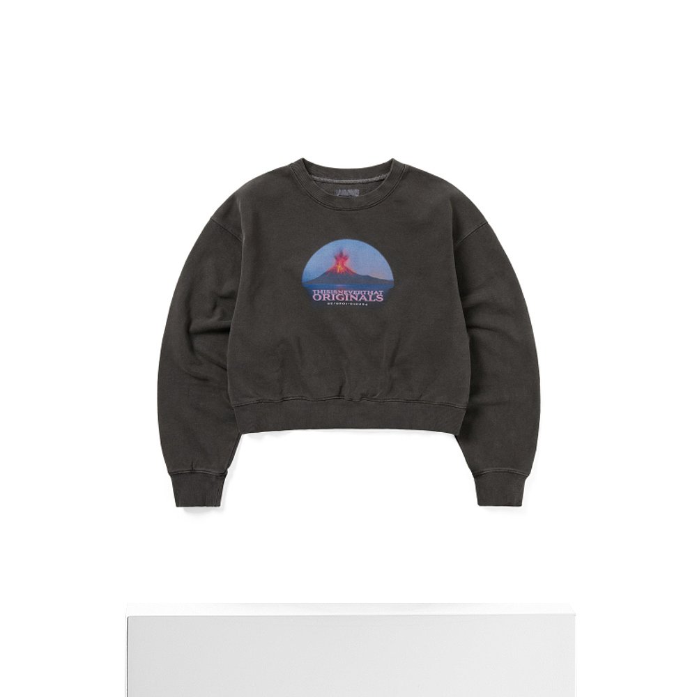 韩国直邮THISISNEVERTHAT 女士女士卫衣/绒衫TN251TSWCW02CHA Volc - 图3