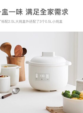 OLAYKS陶瓷内胆免看管隔水炖盅
