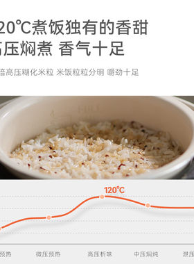 olayks多功能全自动电压力锅