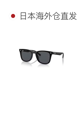 日本直邮Ray-Ban 雷朋 Wayfarers 灵感系列 RB4391D 太阳镜 平光