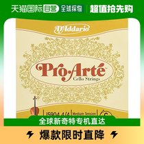 (Japanese direct mail) D Addario da Dario Ticoncello with loose strings C string 4 4M J590