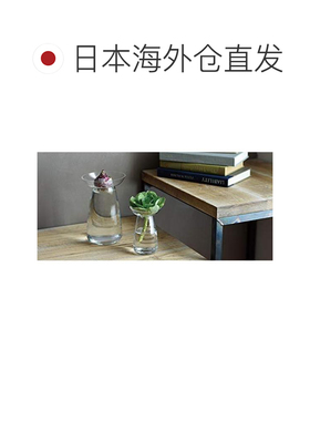 【日本直邮】利快KINTO 水培玻璃花瓶 底座120mm 灰色 20846