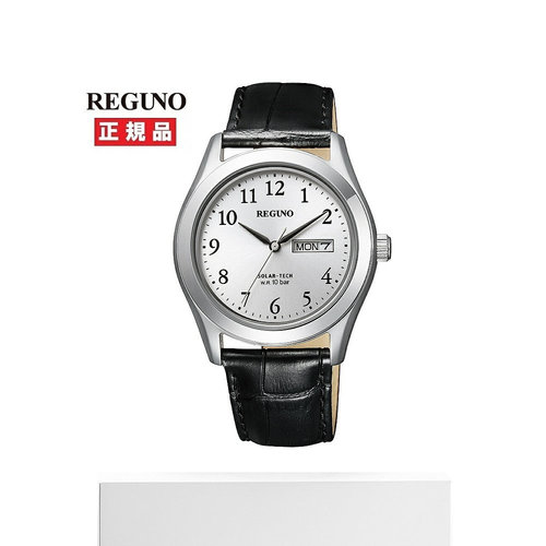 日本直邮西铁城西铁城 REGUNO KM1-211-10 - 图3