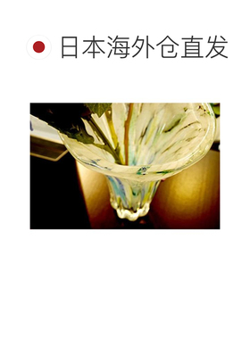 日本直邮Aderia阿德利亚津轻玻璃玻璃花瓶直径16x高23cm紫阳