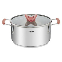 Japan Direct mail T-FAL Gas IH with double handle cooking broth 20cm silver metal color