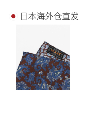 日本直邮BEAMS Pocket Chief Silk 4Face 口袋方巾【付后1h可退】
