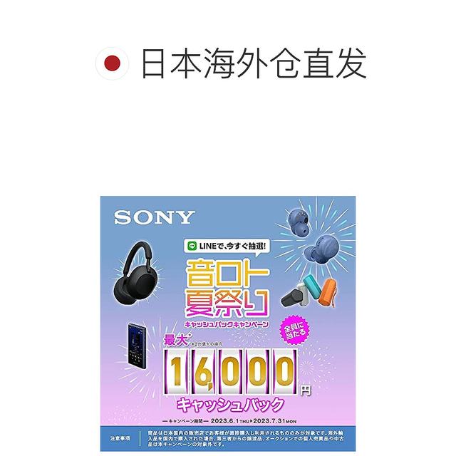 SONY Digital Audio Player Walkman NW-A307 Blue (64GB)