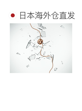 日本直邮Daniel Wellington DW Elevation Necklace 玫瑰金项链