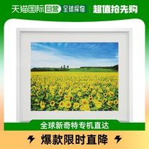 (Japanese direct mail) Nakabayashi Zhonglin aluminum light photo frame with six cut size silver color F-SA-2