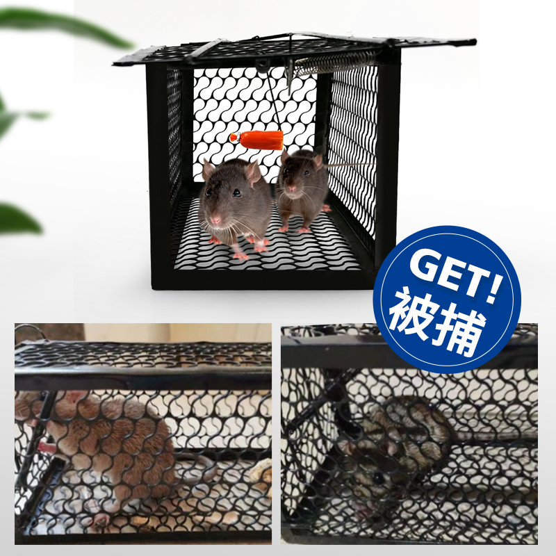 抓老鼠笼子捕鼠器捉扑捕灭鼠神器家用全自动高效一窝端送两个鼠夹 - 图1