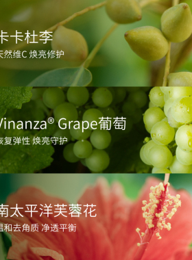 Antipodes维C焕肤洁面Gospel啫喱200ml洗净油脂亮泽肌肤改善暗沉