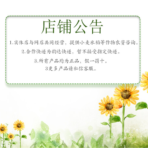 剑牌15%多效唑多效挫 矮化水稻油菜花生控旺控梢防徒长植物矮壮剂 - 图0