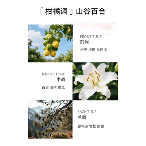 欧洲直邮MAISON MATINE玛森马蒂新生代山谷百合中性浓香水50正品 - 图3