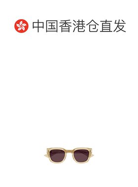 香港直邮Saint Laurent 全框太阳镜 SL838