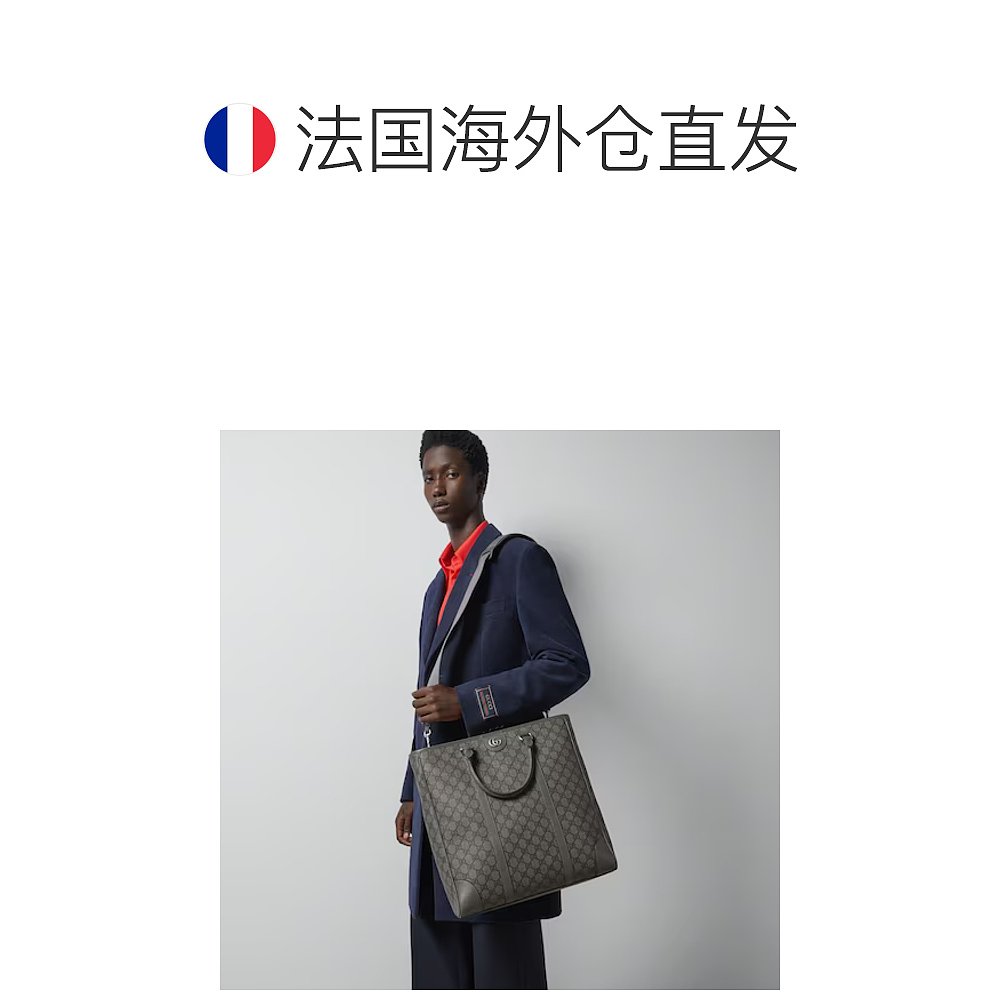 欧洲直邮GUCCI/古驰Ophidia中号手提包-图1