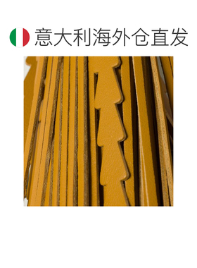 欧洲直邮miu miu 女士 项链