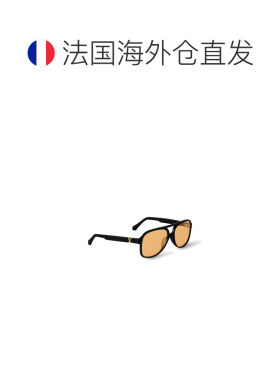 欧洲直邮louis vuitton/路易威登  太阳镜