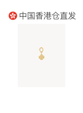 香港直邮SAINT LAURENT 女士项链 A003QAY150070067006 AW2026
