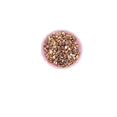新疆土特产山蘑菇珍珠菇炖鸡煲汤拌面农家小香菇菌菇500克干品 - 图3