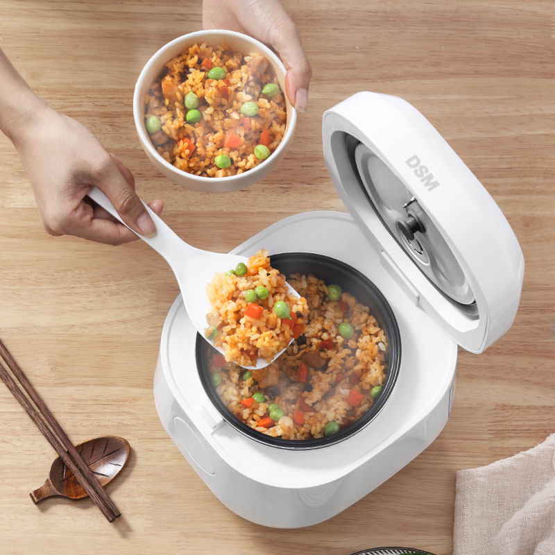  dsm电器电饭煲