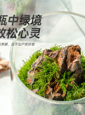 (瓶中山）苔藓微景观生态瓶缸成品盆栽盆景成品造景绿植养活桌面