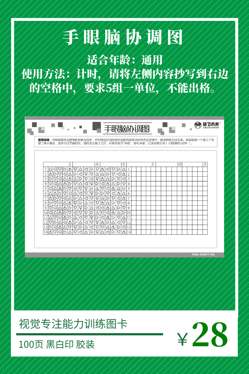 手眼脑协调图注意力集中专注力训练玩具教学材料课程特色培训-图1