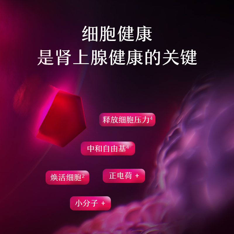 【3件巩固装】MitoQ肾上腺平衡解压胶囊舒缓压力放松心情q10