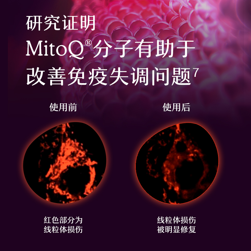 MitoQ衡糖胶囊美透片60粒血压血糖胰腺辅酶q10家中常备进口保健品 - 图2