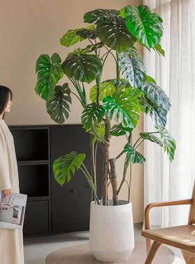 大型怪物树模拟绿色植物盆栽经典装饰怪物地板到天花板的窗户景观